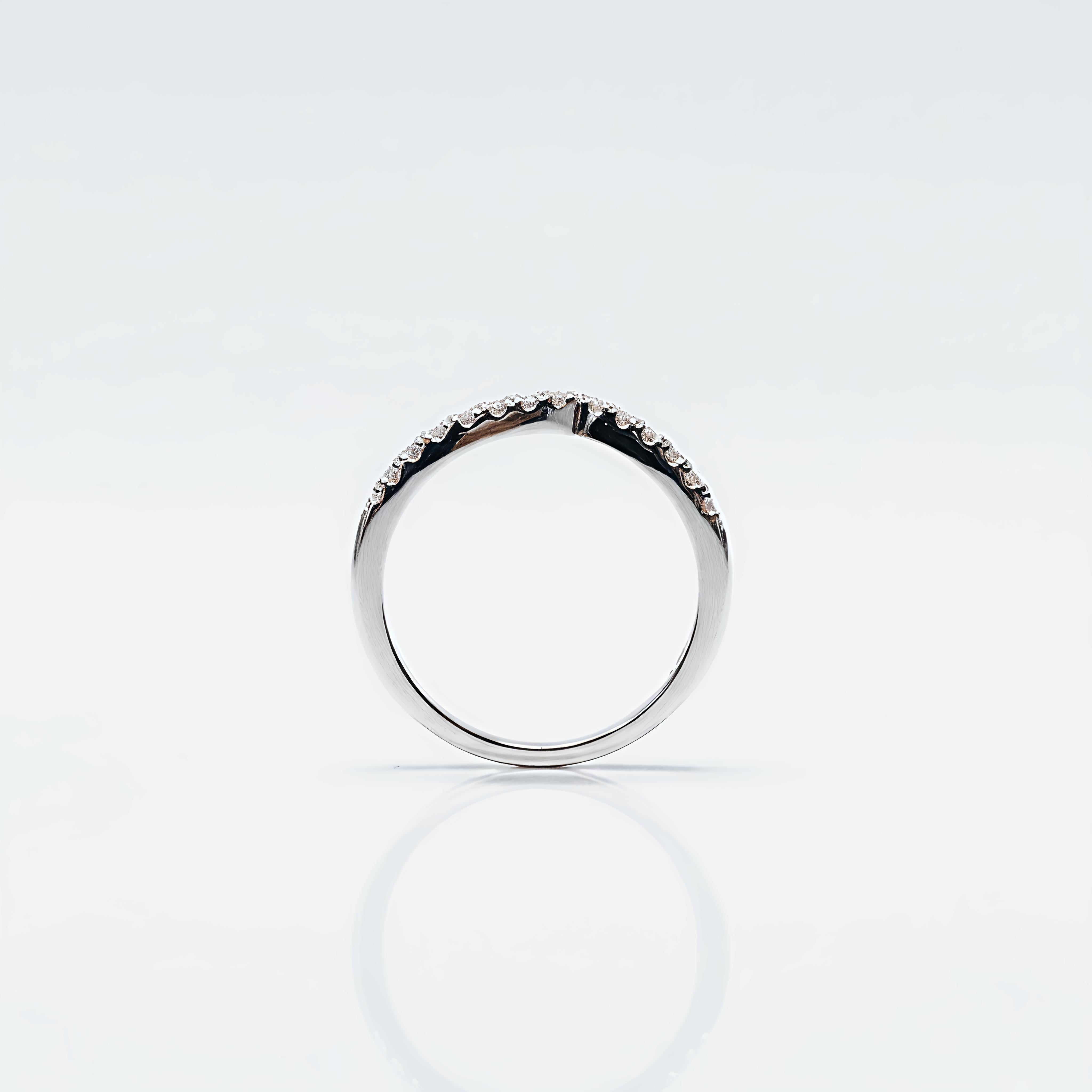 β¨ Celeste Curve Band β¨